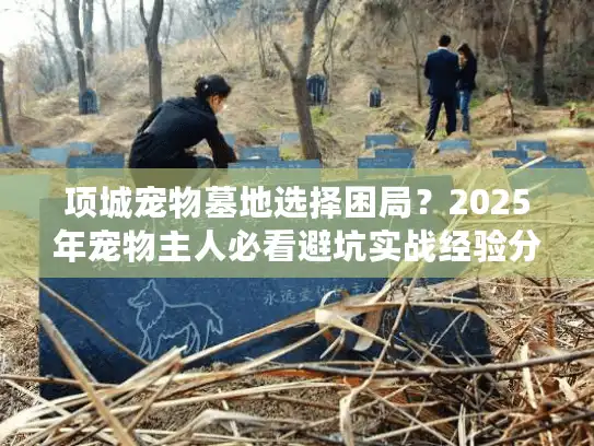 项城宠物墓地选择困局？2025年宠物主人必看避坑实战经验分享