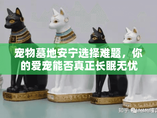 宠物墓地安宁选择难题，你的爱宠能否真正长眠无忧？