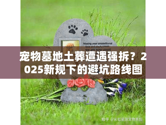 宠物墓地土葬遭遇强拆?2025新规下的避坑路线图 宠物墓地土葬遭遇强拆?2025新规下的避坑路线图