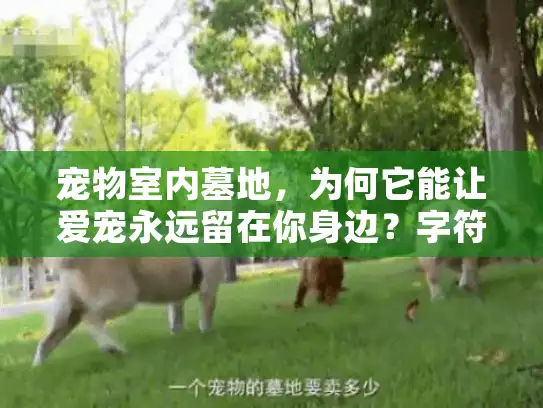 宠物室内墓地，为何它能让爱宠永远留在你身边？字符数，28）