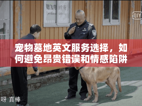 宠物墓地英文服务选择，如何避免昂贵错误和情感陷阱？
