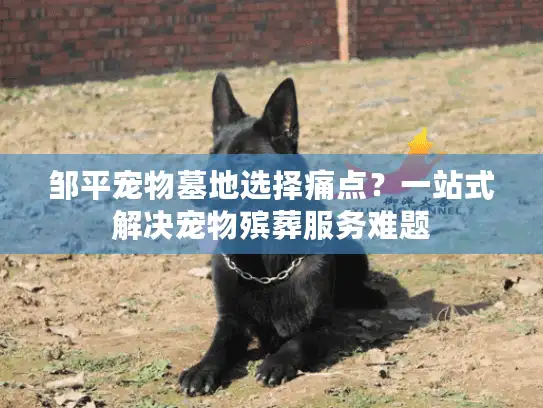 邹平宠物墓地选择痛点？一站式解决宠物殡葬服务难题