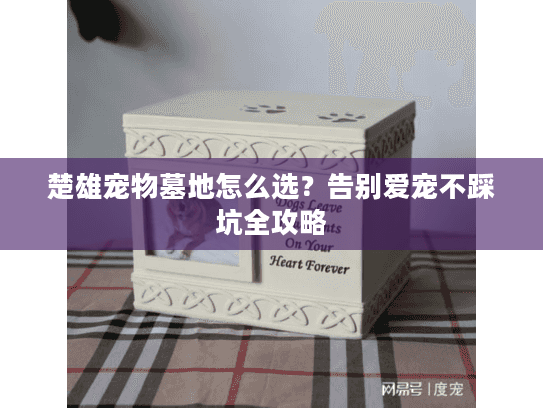 楚雄宠物墓地怎么选？告别爱宠不踩坑全攻略