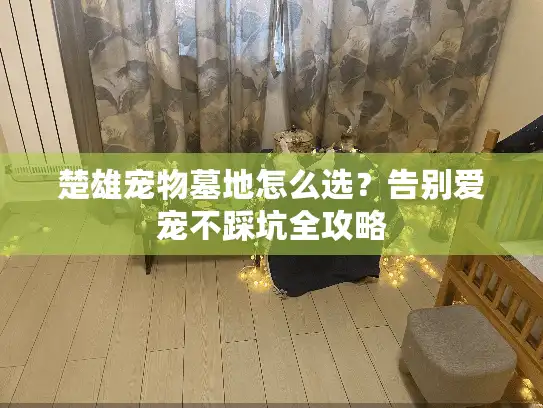 楚雄宠物墓地怎么选？告别爱宠不踩坑全攻略