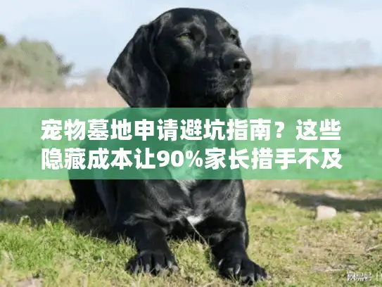 宠物墓地申请避坑指南？这些隐藏成本让90%家长措手不及