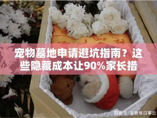 宠物墓地申请避坑指南？这些隐藏成本让90%家长措手不及