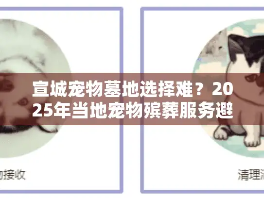 宣城宠物墓地选择难？2025年当地宠物殡葬服务避坑指南