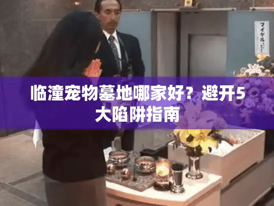 临潼宠物墓地哪家好？避开5大陷阱指南