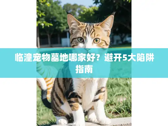 临潼宠物墓地哪家好？避开5大陷阱指南