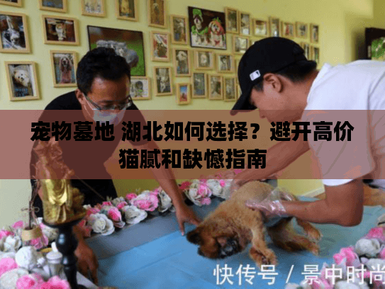 宠物墓地 湖北如何选择？避开高价猫腻和缺憾指南