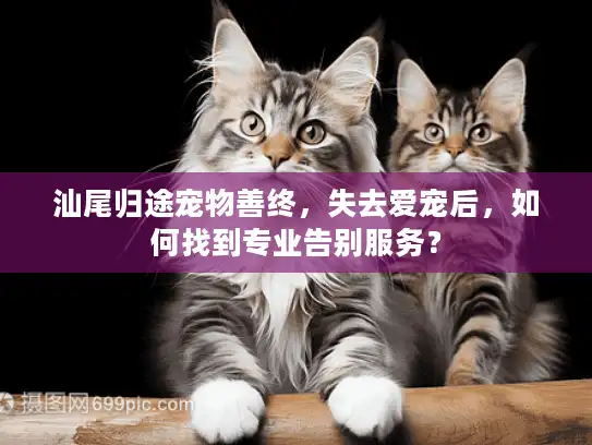 汕尾归途宠物善终,失去爱宠后,如何找到专业告别服务? 汕尾归途宠物善终,失去爱宠后,如何找到专业告别服务?