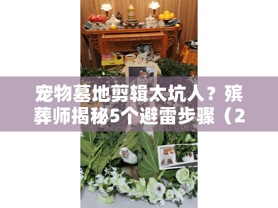宠物墓地剪辑太坑人？殡葬师揭秘5个避雷步骤（2025最新版）