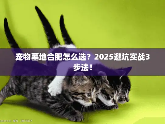 宠物墓地合肥怎么选？2025避坑实战3步法！