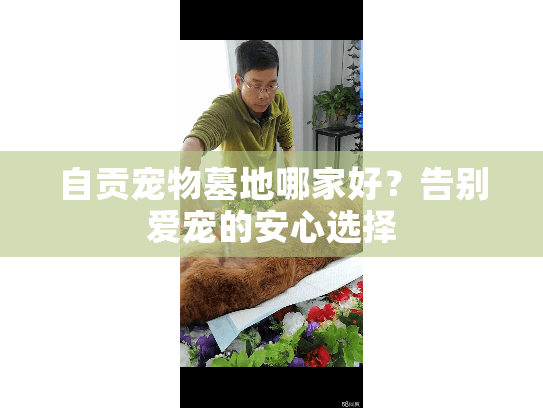 自贡宠物墓地哪家好?告别爱宠的安心选择 自贡宠物墓地哪家好?告别爱宠的安心选择