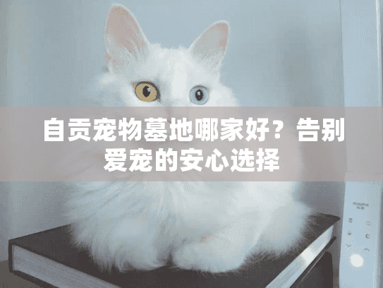 自贡宠物墓地哪家好?告别爱宠的安心选择 自贡宠物墓地哪家好?告别爱宠的安心选择