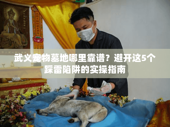 武义宠物墓地哪里靠谱?避开这5个踩雷陷阱的实操指南 武义宠物墓地哪里靠谱?避开这5个踩雷陷阱的实操指南