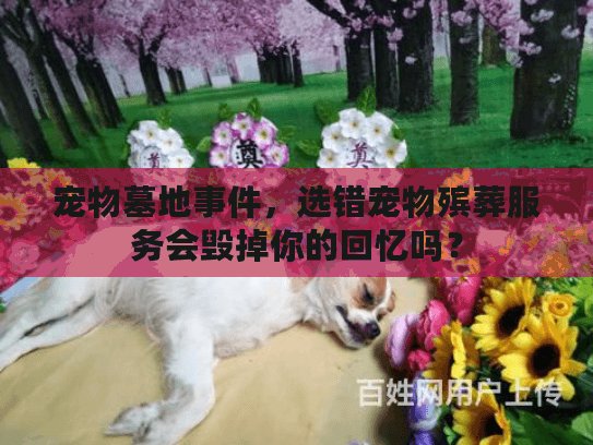 宠物墓地事件，选错宠物殡葬服务会毁掉你的回忆吗？