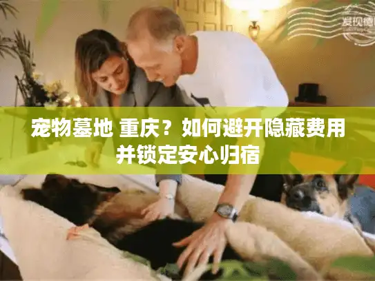 宠物墓地 重庆？如何避开隐藏费用并锁定安心归宿