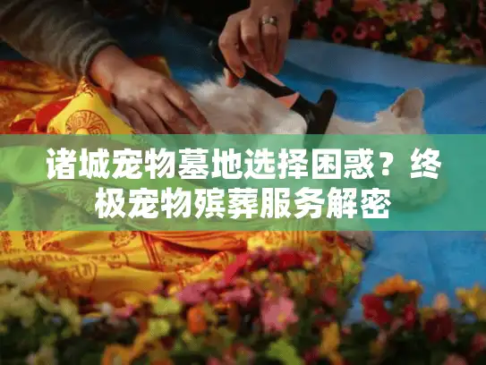诸城宠物墓地选择困惑？终极宠物殡葬服务解密