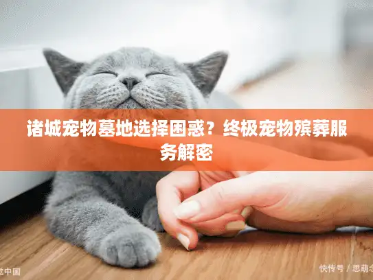 诸城宠物墓地选择困惑？终极宠物殡葬服务解密