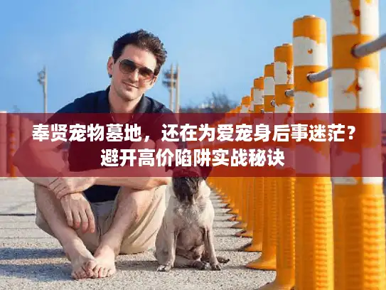 奉贤宠物墓地，还在为爱宠身后事迷茫？避开高价陷阱实战秘诀