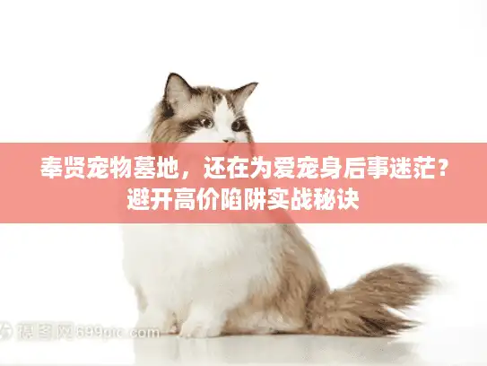 奉贤宠物墓地，还在为爱宠身后事迷茫？避开高价陷阱实战秘诀