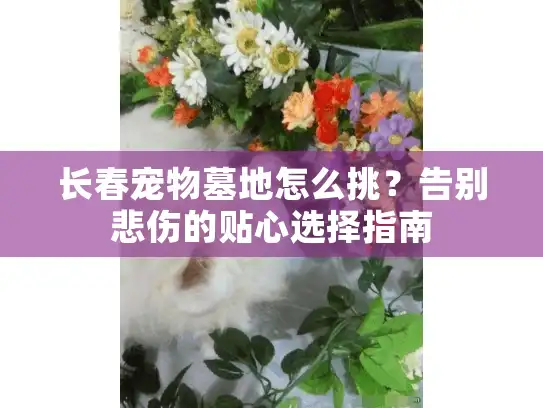 长春宠物墓地怎么挑？告别悲伤的贴心选择指南