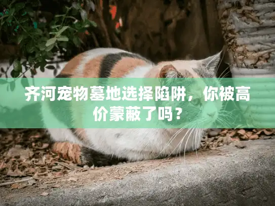 齐河宠物墓地选择陷阱，你被高价蒙蔽了吗？
