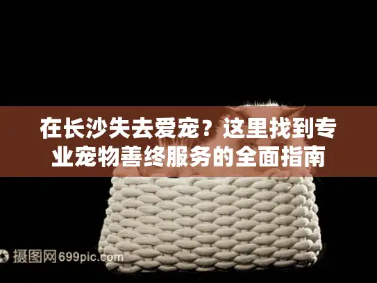 在长沙失去爱宠？这里找到专业宠物善终服务的全面指南