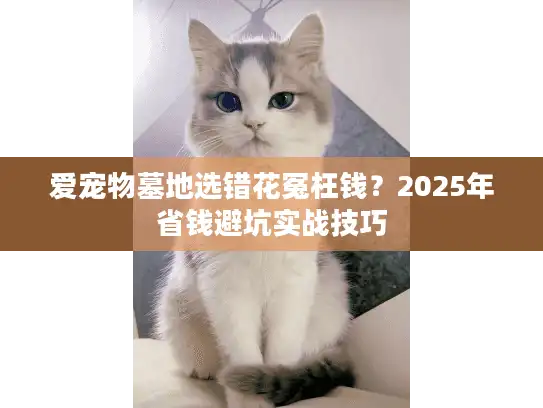 爱宠物墓地选错花冤枉钱？2025年省钱避坑实战技巧