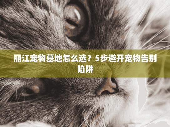 丽江宠物墓地怎么选？5步避开宠物告别陷阱