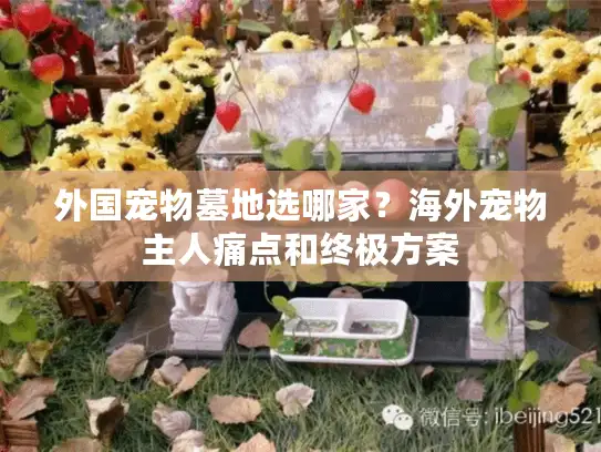 外国宠物墓地选哪家？海外宠物主人痛点和终极方案