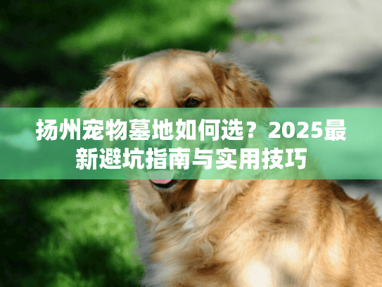 扬州宠物墓地如何选？2025最新避坑指南与实用技巧