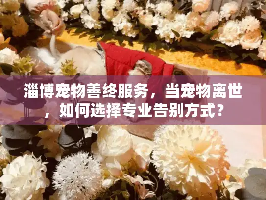 淄博宠物善终服务，当宠物离世，如何选择专业告别方式？