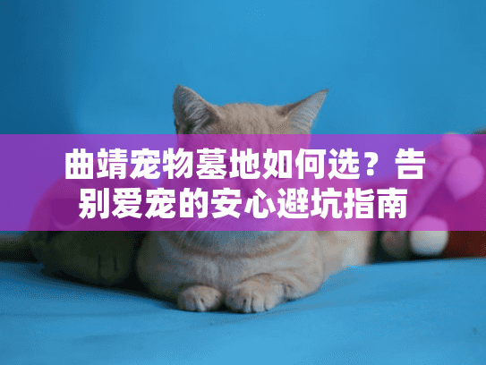 曲靖宠物墓地如何选？告别爱宠的安心避坑指南