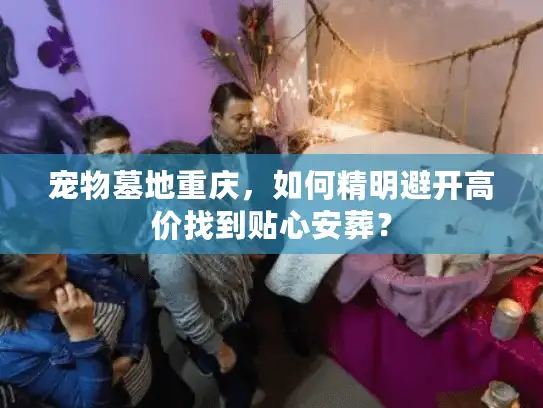 宠物墓地重庆,如何精明避开高价找到贴心安葬? 宠物墓地重庆,如何精明避开高价找到贴心安葬?