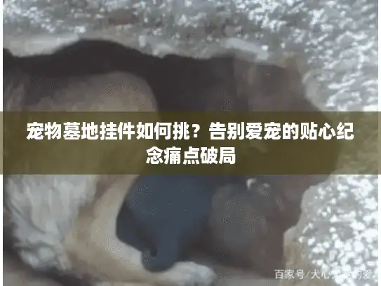 宠物墓地挂件如何挑？告别爱宠的贴心纪念痛点破局