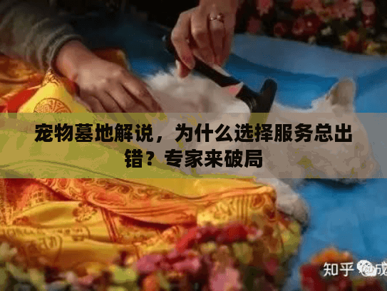 宠物墓地解说，为什么选择服务总出错？专家来破局