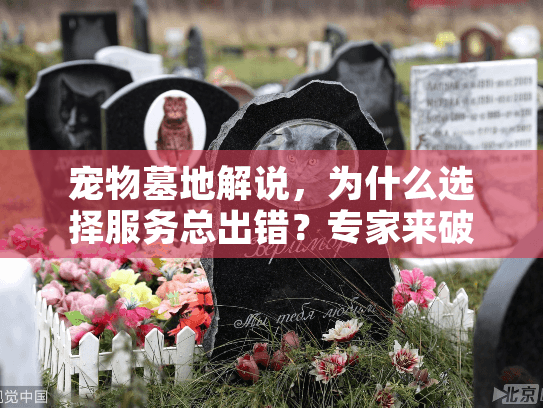 宠物墓地解说，为什么选择服务总出错？专家来破局