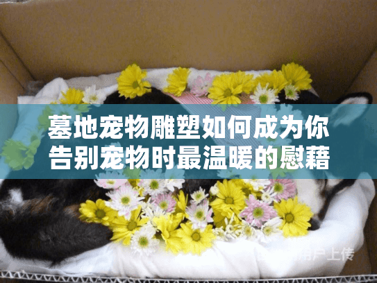 墓地宠物雕塑如何成为你告别宠物时最温暖的慰藉？