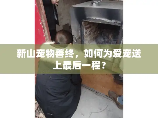 新山宠物善终,如何为爱宠送上最后一程? 新山宠物善终,如何为爱宠送上最后一程?