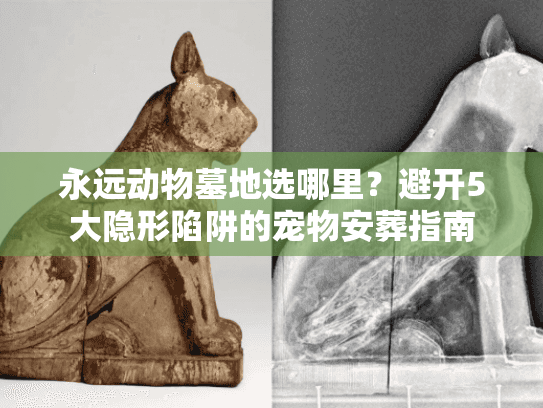 永远动物墓地选哪里?避开5大隐形陷阱的宠物安葬指南 永远动物墓地选哪里?避开5大隐形陷阱的宠物安葬指南