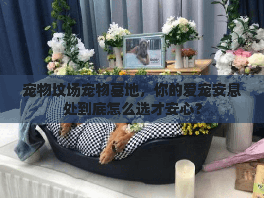 宠物坟场宠物墓地，你的爱宠安息处到底怎么选才安心？