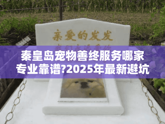 秦皇岛宠物善终服务哪家专业靠谱?2025年最新避坑指南