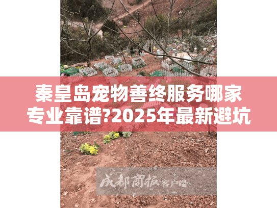 秦皇岛宠物善终服务哪家专业靠谱?2025年最新避坑指南
