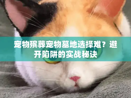 宠物殡葬宠物墓地选择难？避开陷阱的实战秘诀