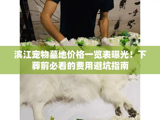 滨江宠物墓地价格一览表曝光!下葬前必看的费用避坑指南 滨江宠物墓地价格一览表曝光!下葬前必看的费用避坑指南