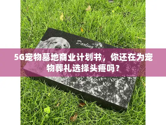 5G宠物墓地商业计划书，你还在为宠物葬礼选择头疼吗？
