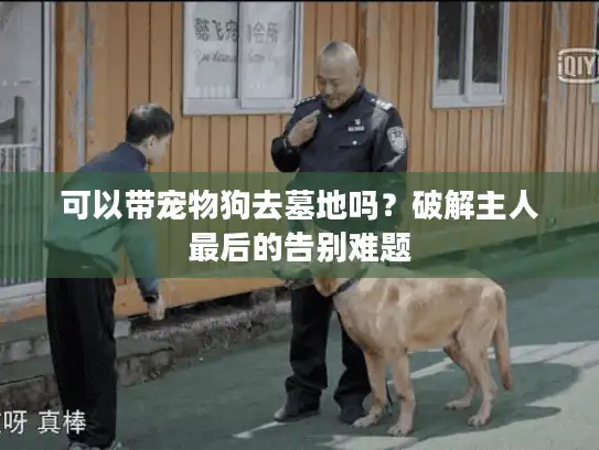 可以带宠物狗去墓地吗？破解主人最后的告别难题