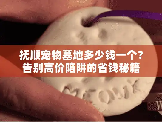 抚顺宠物墓地多少钱一个？告别高价陷阱的省钱秘籍